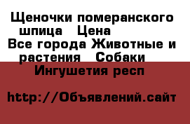 Щеночки померанского шпица › Цена ­ 25 000 - Все города Животные и растения » Собаки   . Ингушетия респ.